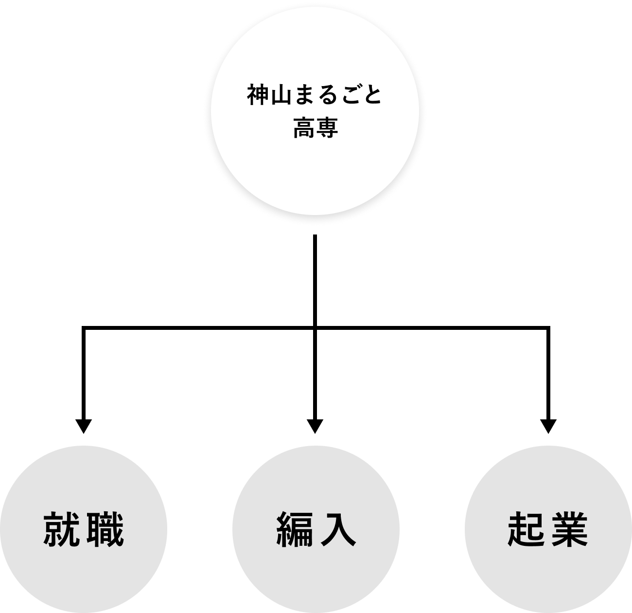 就職・編入・起業