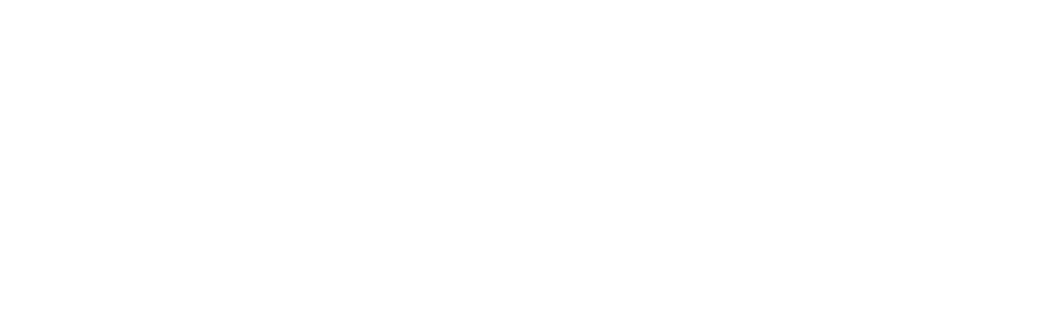Summer School 2025